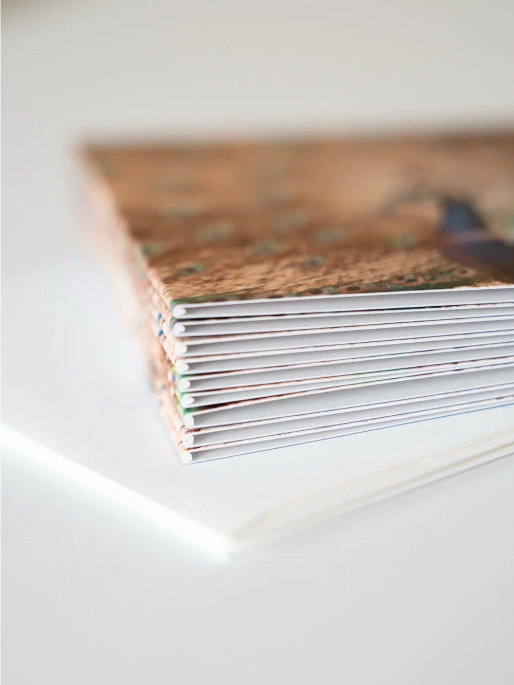 Beautiful Peacock Note Cards with Envelopes - Set of 8